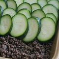 Gratin de courgettes à l'Egyptienne 