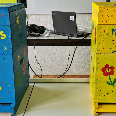 Les ruches sont peintes !