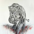 Panthera leo. 