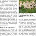 Grippe aviaire