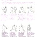 Explication 8 potentiels tai chi chuan