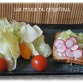 Tartine fraîcheur