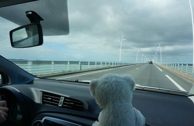 Nounours va à l'île d'Oléron