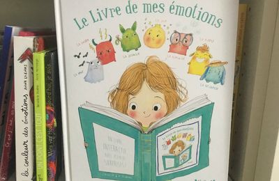 LE LIVRE DE MES ÉMOTIONS 