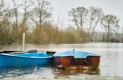 Concours de février : "Paysage sous la pluie"