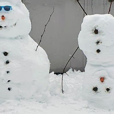 Ce 21 décembre est le premier jour de l'hiver...brrr !