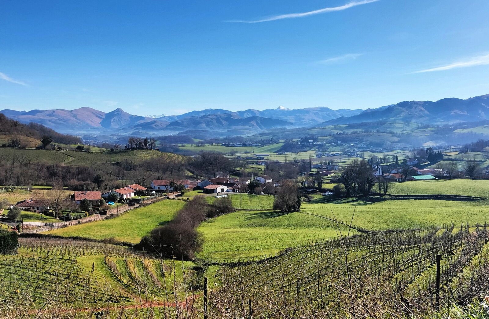 Irouléguy, pic d'Orhy et vignes (64)