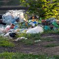 Essonne. Il jette ses déchets dans la nature, la maire les reverse dans son jardin