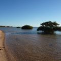 Shark bay 