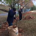 Ramassage de feuilles au jardin !