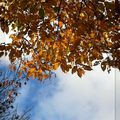 Petit coin de ciel du Lundi 22 Décembre