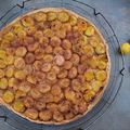 Tarte fine aux mirabelles