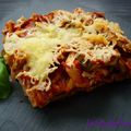 LASAGNES VEGETARIENNES