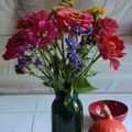 J'aime les couleurs somptueuses des zinnias mais