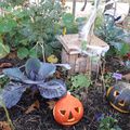 c'est bientôt Halloween ! les enfants passeront jeudi 31 Octobre , n'oubliez pas de faire votre provision en Bonbons !