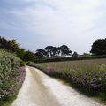 Promenade en Bretagne....