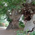 Mercredi 25/07/18 de L'Armor Baden à St-Armel