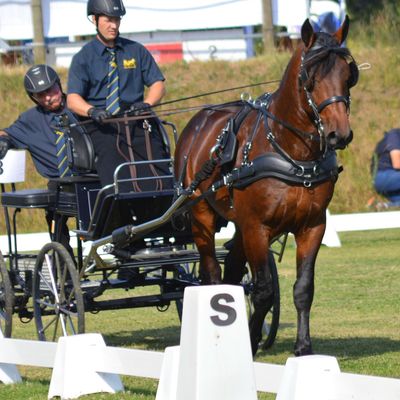 MOKA DES ROCHES (VENDU)