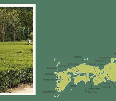 Bientôt les récoltes de printemps 