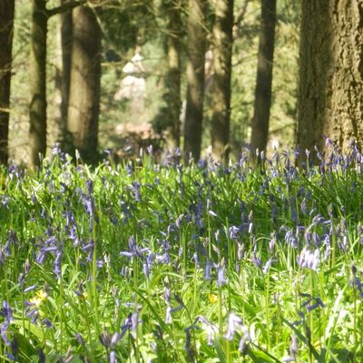 Balade de Printemps, enfin!