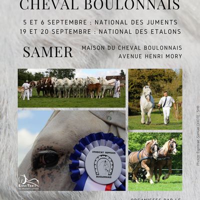 Concours Spécial 2020 - Maison du Cheval Boulonnais - Samer