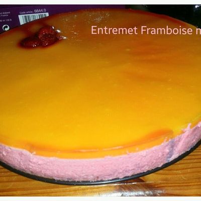 Entremet framboises miroir mangue (Thermomix)