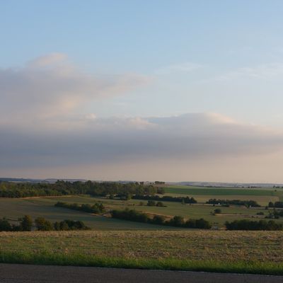 Ces derniers temps...