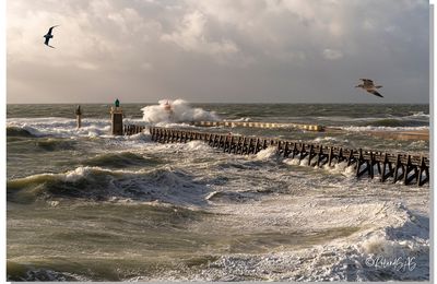 Alex à Capbreton