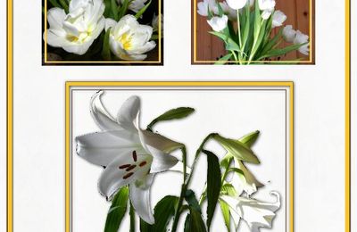 * Les fleurs blanches