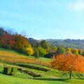 10 bonnes raisons d'aimer l'automne!