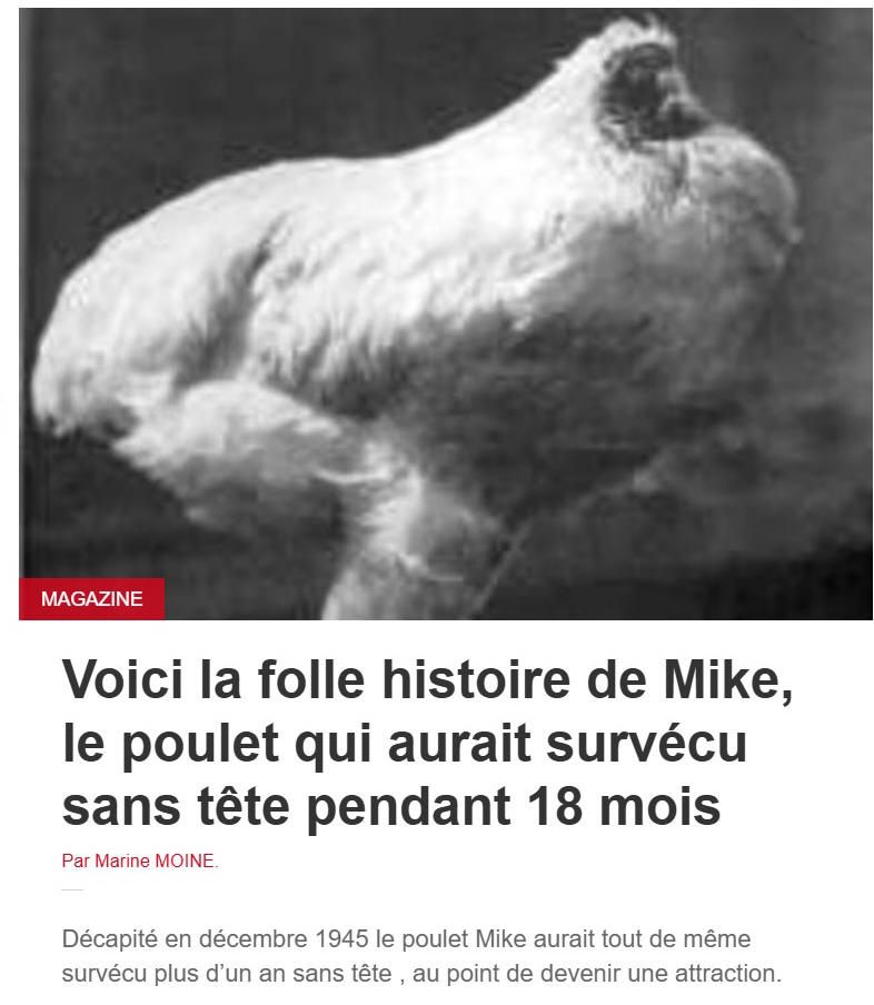 Sacré Mike