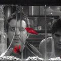 Rumble Fish