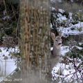 on joue à cache, cache