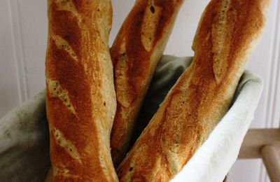 Baguettes farine de blé bio