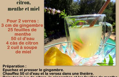 DÉTOX ; Infusion antioxydante au gingembre, menthe, citron et miel