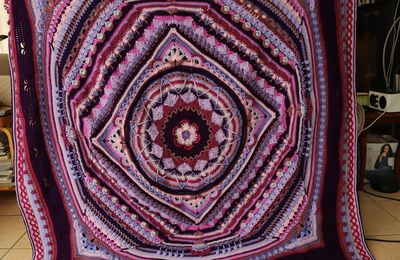 Sophie's Universe Fin