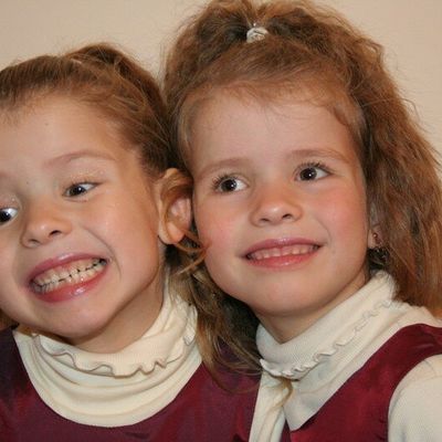 Excellente année à tous ...