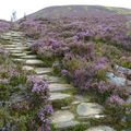 Ecosse - Randonnée dans le massif des Cairngorms