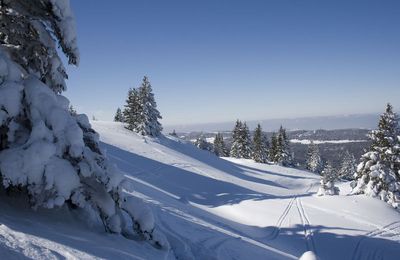 Paysages de neiges