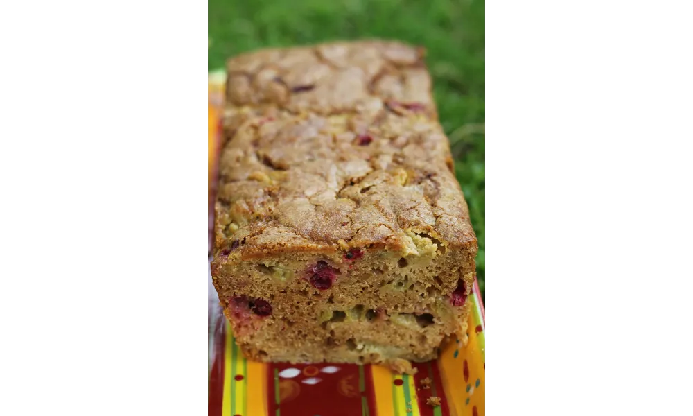 Cake à la rhubarbe, aux groseilles et aux cassis