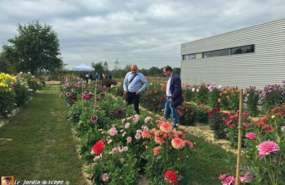 Au coeur du jury de sélection variétale des dahlias Label-Rouge