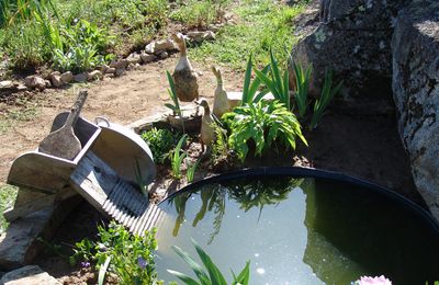 travaux d automne au jardin