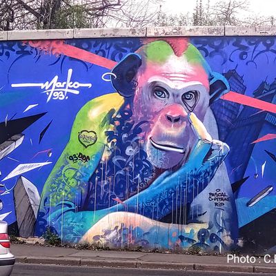 GRAND PARIS : SAINT-DENIS – STREET ART AVENUE / NOM DE L’ŒUVRE : DARKVAPOR SINGE PUNK / ARTISTE : MARKO 93 