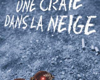 Critique de "Une craie dans la neige" de Françoise Delmon