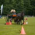 Concours National d'Attelage à Olhain