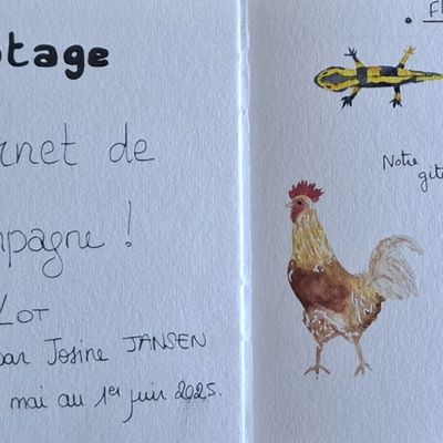 Carnet de campagne dans le Lot - 29 mai au 1er juin