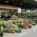 Marché Jean-Talon