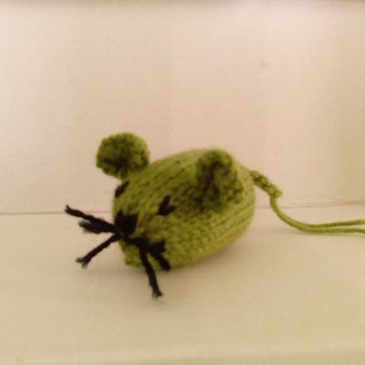 Une souris verte... pour un chat!