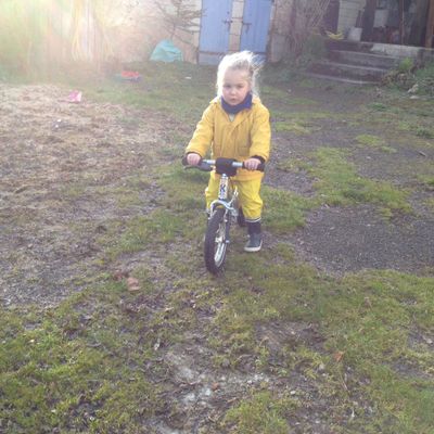 Trois ans de petit fruit