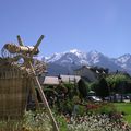 Sallanches et le Mont-Blanc